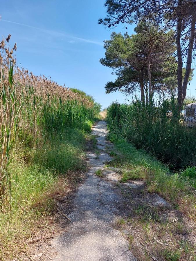 La Dimora In Riva Al Mare Ξενοδοχείο Βιέστε Εξωτερικό φωτογραφία